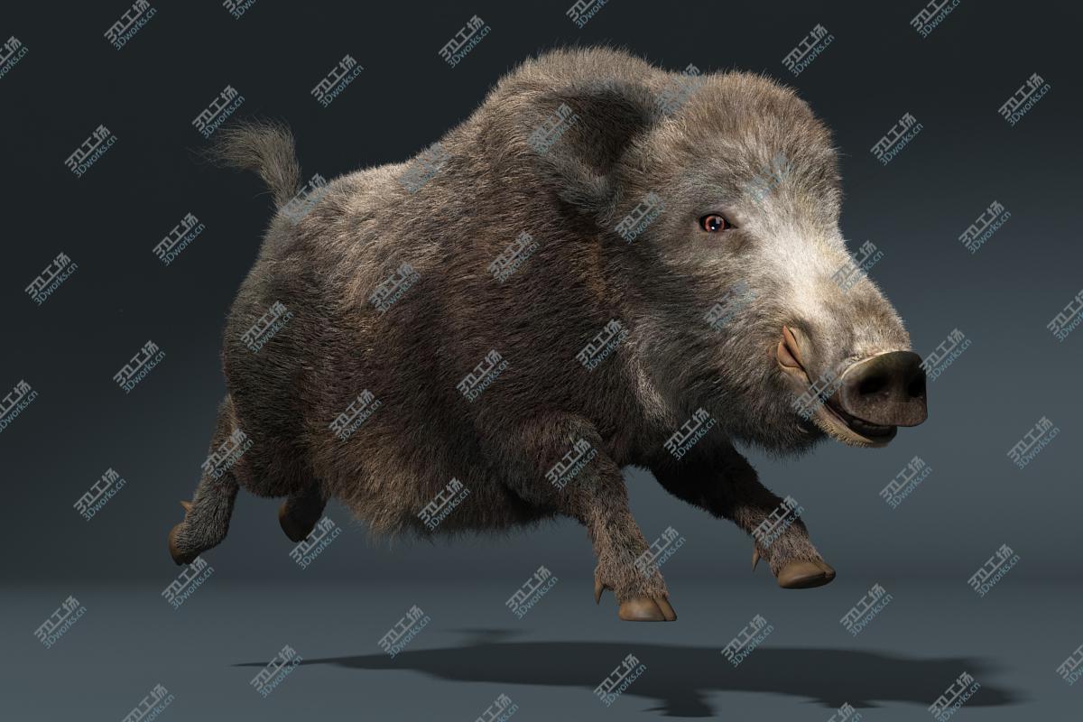 images/goods_img/20210113/Wild Boar(FUR)(RIGGED)/4.jpg